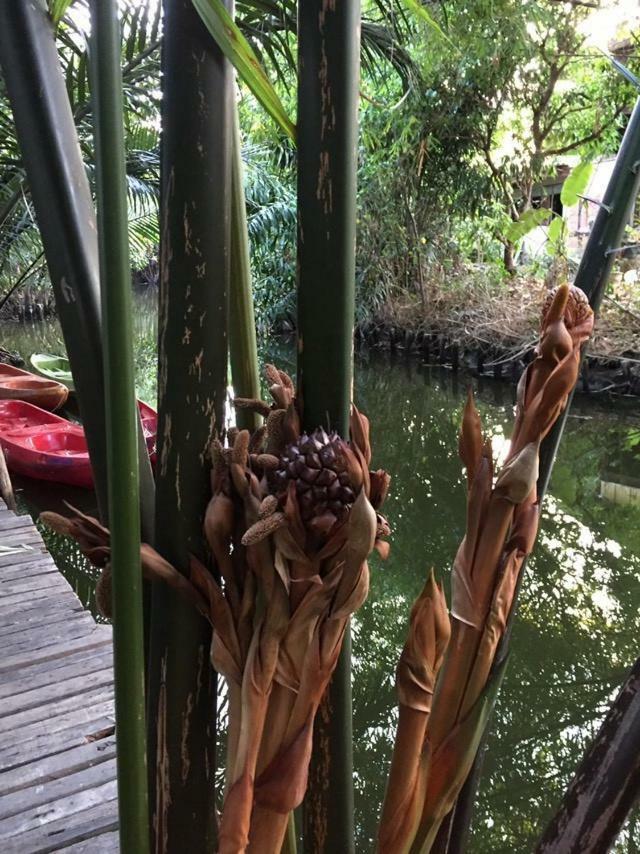 Baan Glangsuan Bang Kobua Otel Bang Chak Dış mekan fotoğraf